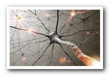 Neuro anatomy of neuroplasticity after brain injury